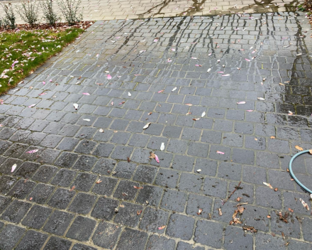 CleanUp Solutions