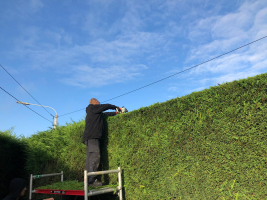 Systematisch onderhouden van uw tuin 